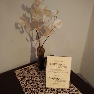Chambre Lit Queen-Size
